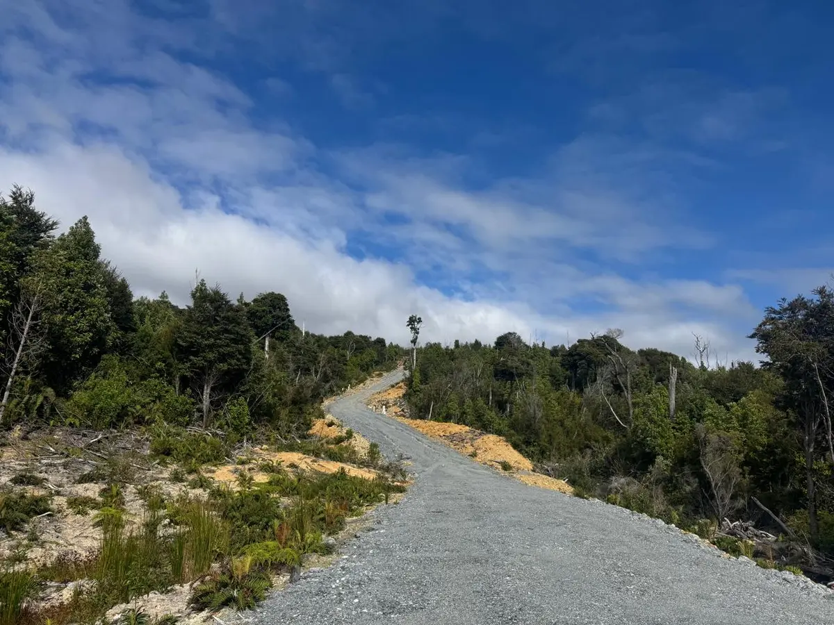 Terreno en Los Muermos - Imagen 4
