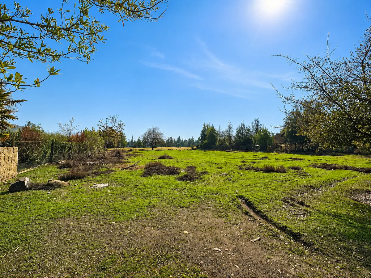 Terreno en Colina - Imagen 5